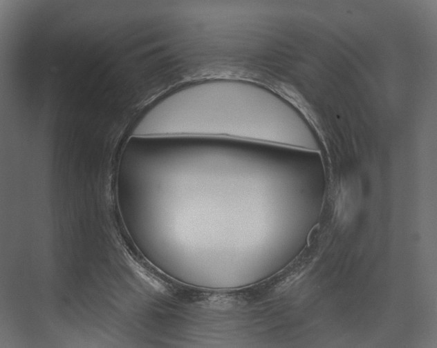 X0000074240441200608250846