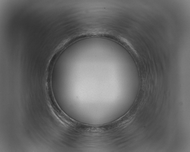 X0000074240443200608250846