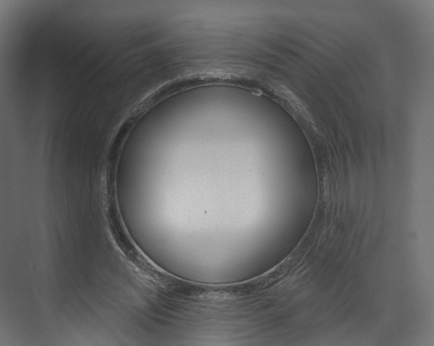 X0000074240444200608250846
