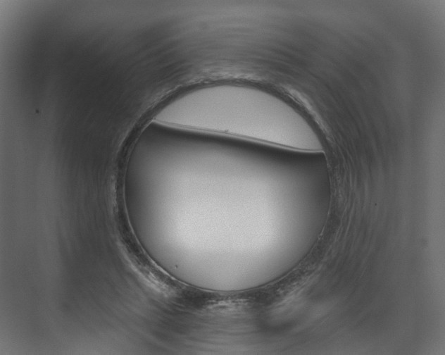 X0000074240447200608250846