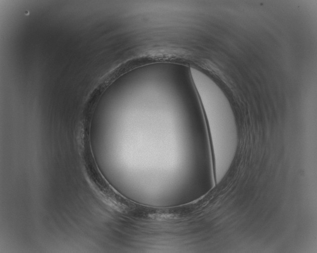 X0000074240448200608250846