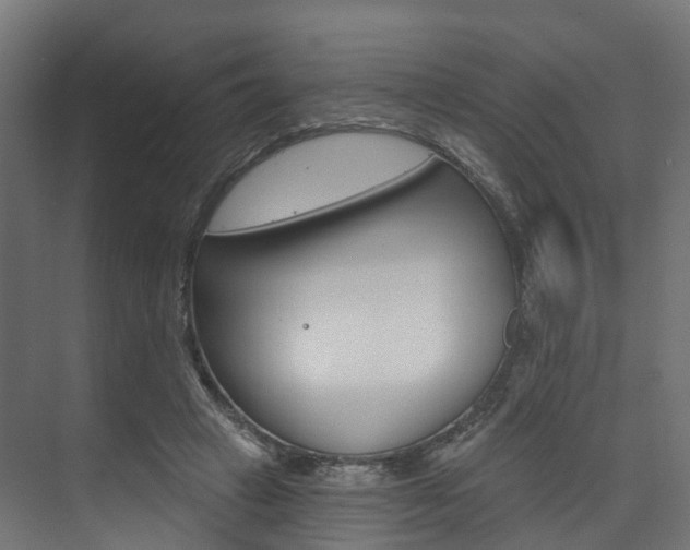 X0000074240449200608250846