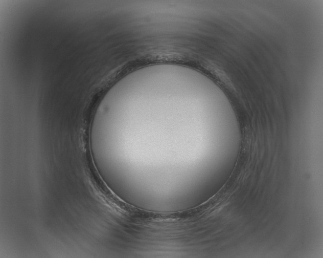 X0000074240450200608250846