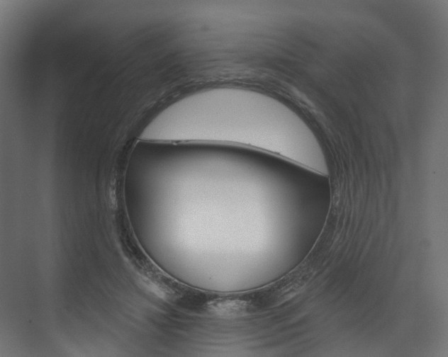 X0000074240452200608250846
