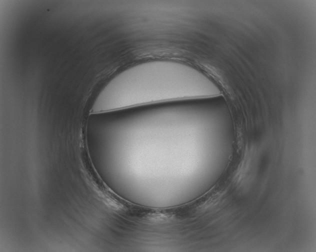 X0000074240453200608250846