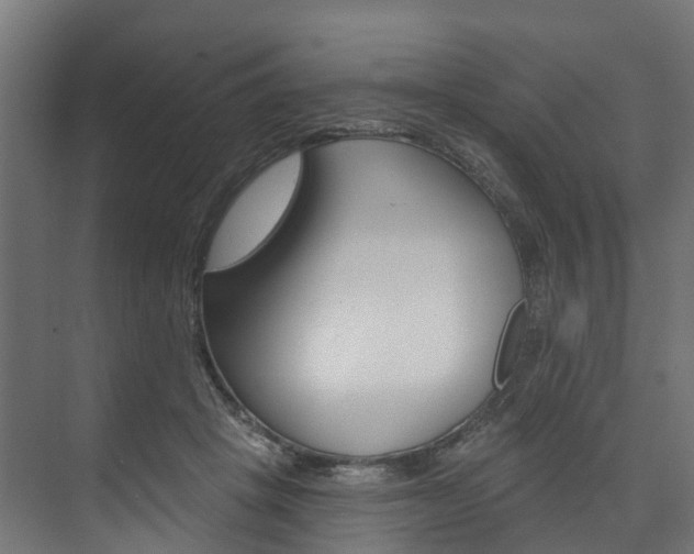 X0000074240457200608250846