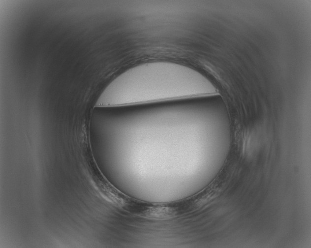 X0000074240459200608250846