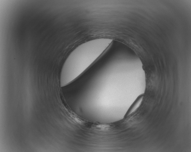 X0000074240478200608250847