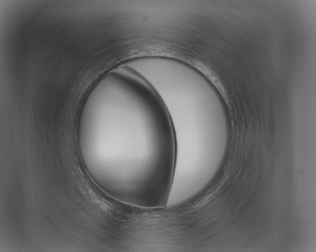 X0000074240481200608250846