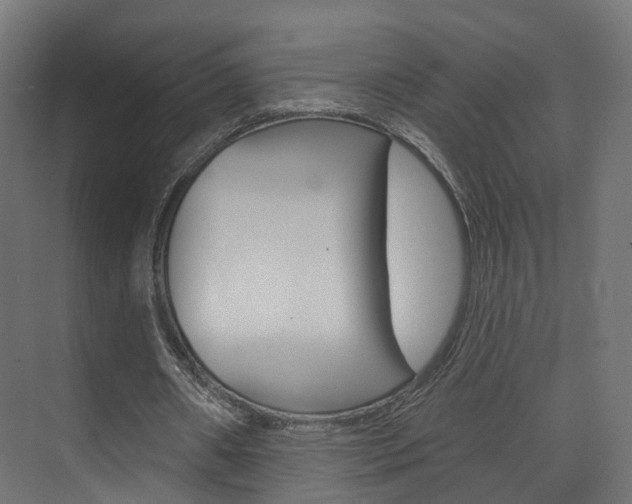 X0000074240482200608250846