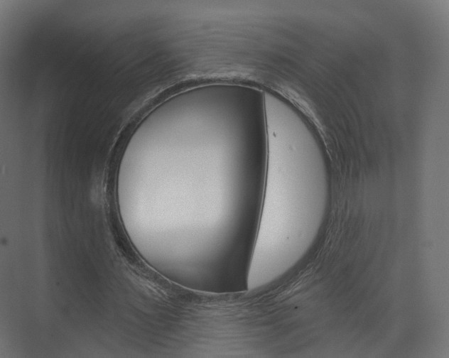 X0000074240483200608250846