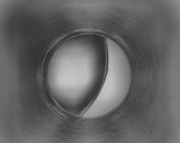 X0000074240484200608250846