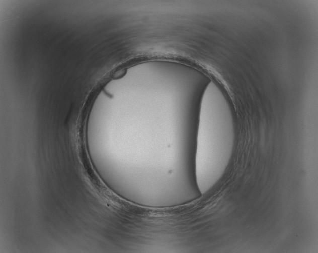 X0000074240487200608250846