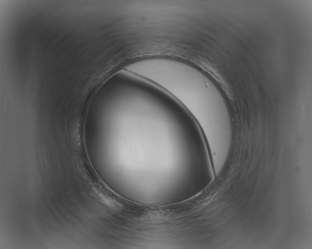 X0000074240489200608250846