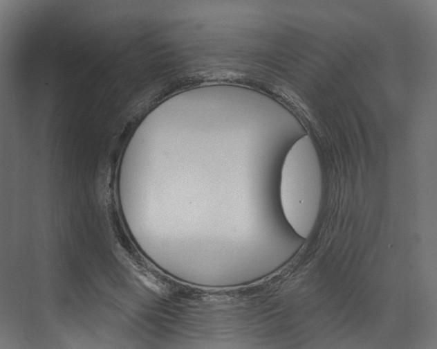 X0000074240490200608250846