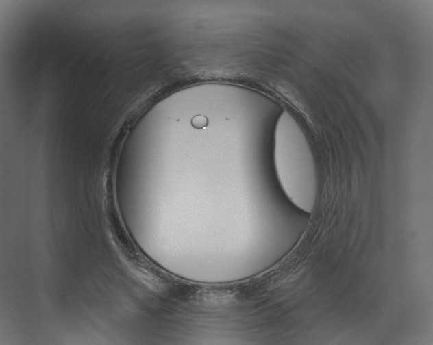 X0000074240491200608250846