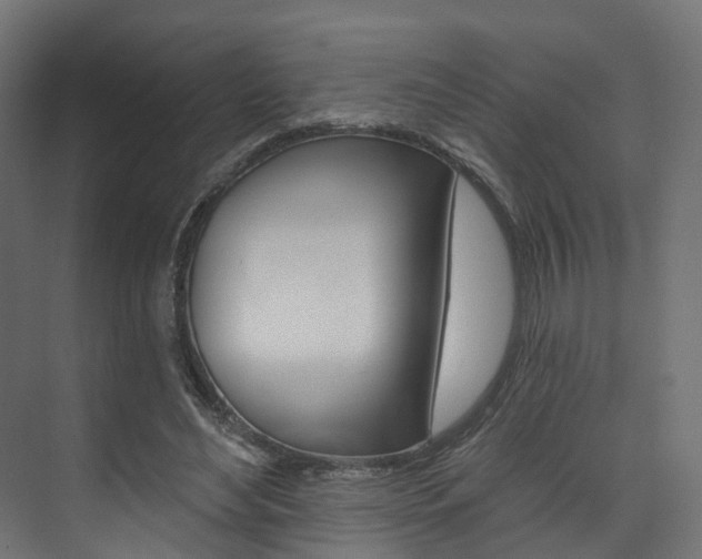 X0000074240492200608250846