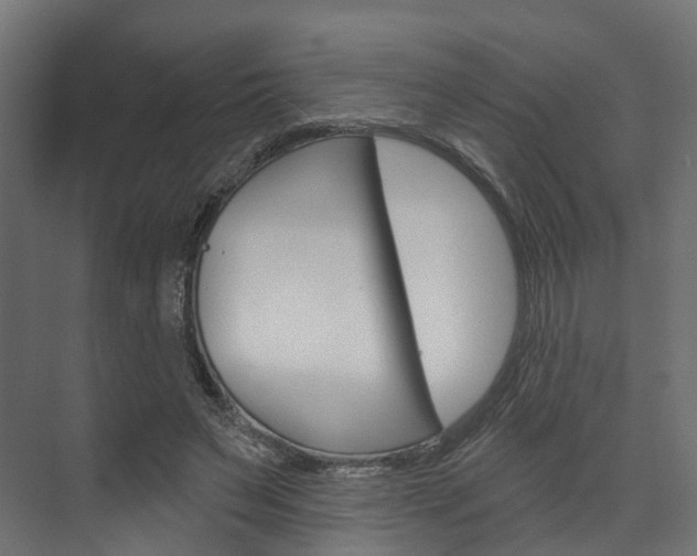 X0000074240495200608250846