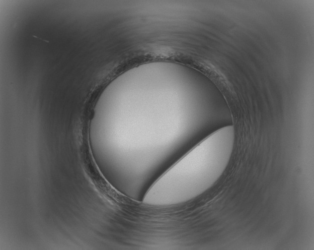 X0000074240496200608250846