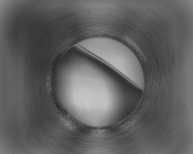 X0000074240497200608250846