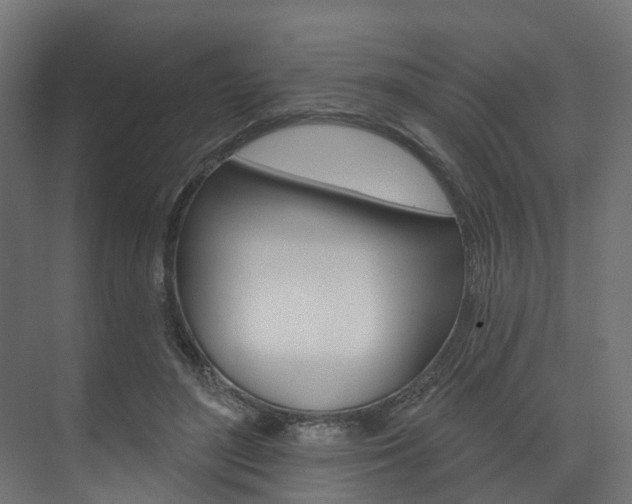 X0000074240500200608250846
