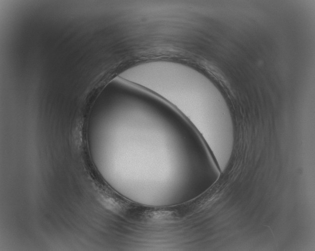 X0000074240501200608250846