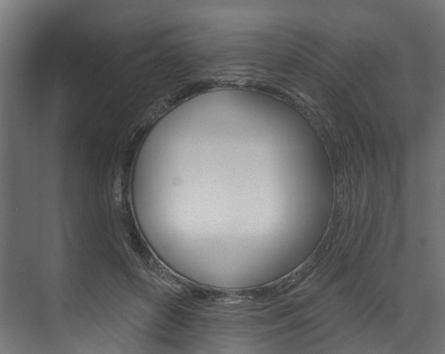 X0000074240504200608250845