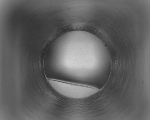 X0000074240508200608250845