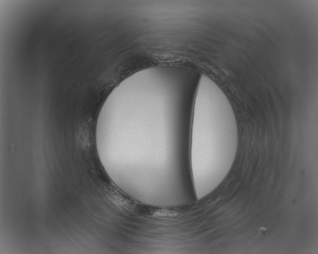 X0000074240515200608250845