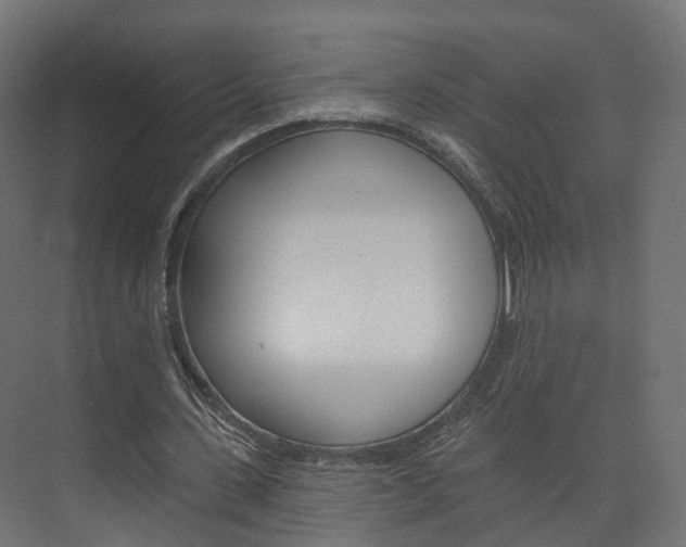 X0000074240531200608250844