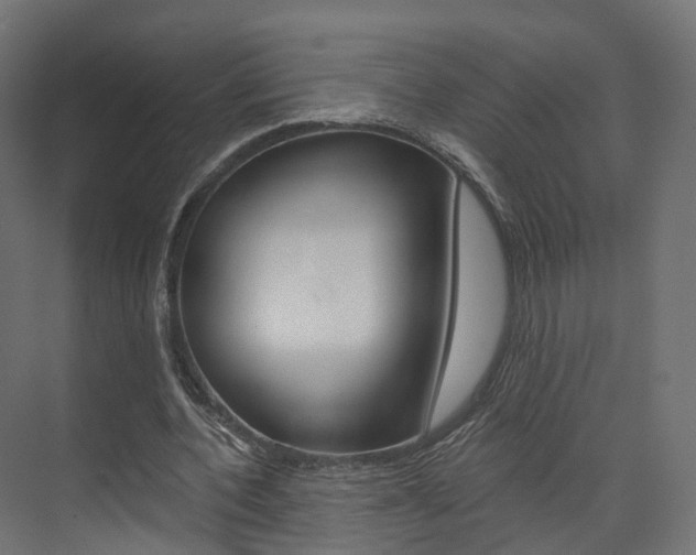 X0000074240532200608250844