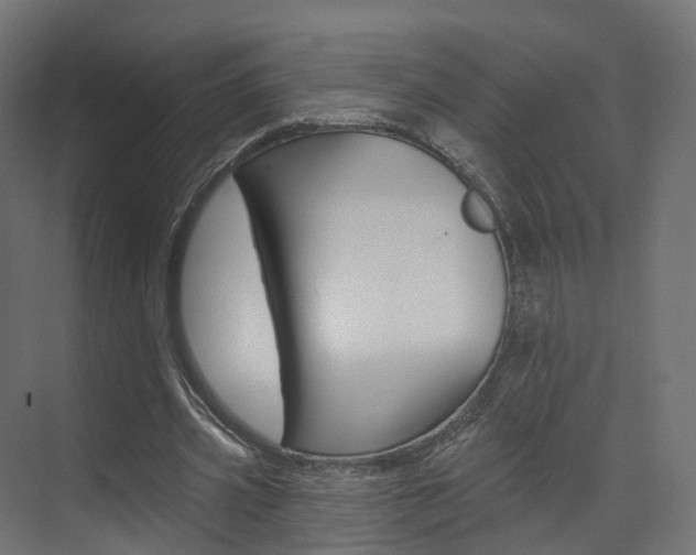 X0000074240533200608250844