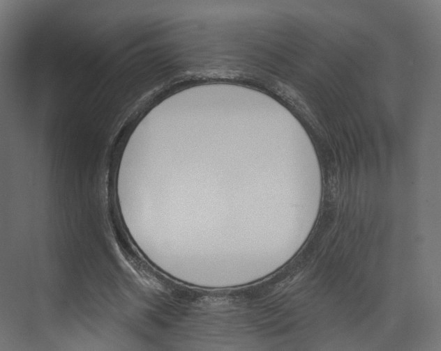 X0000074240534200608250844