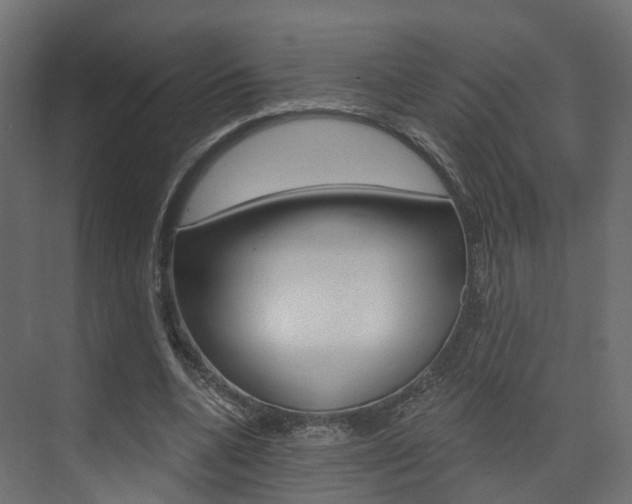 X0000074240536200608250844