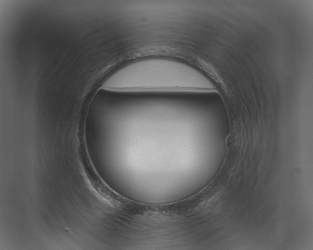X0000074240538200608250844
