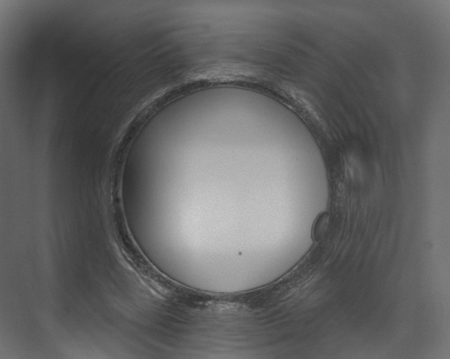 X0000074240539200608250844