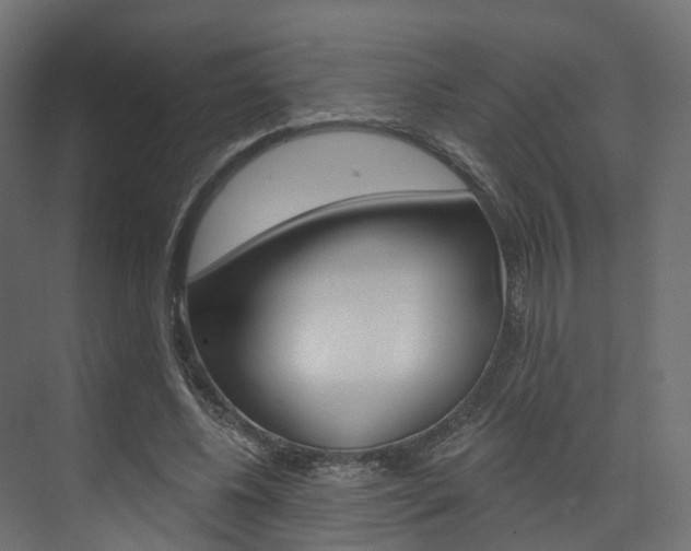 X0000074240540200608250844