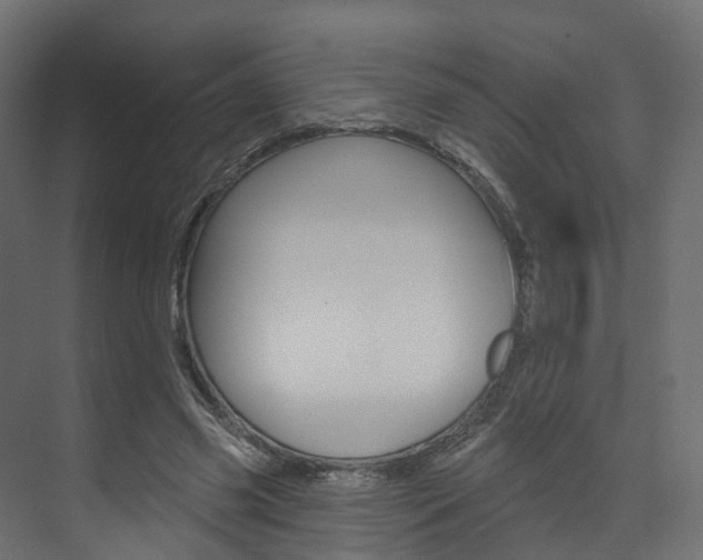 X0000074240541200608250844