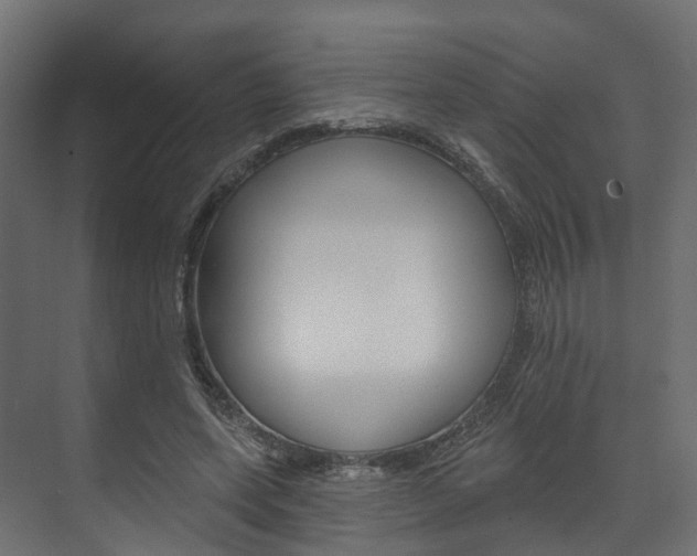 X0000074240543200608250845