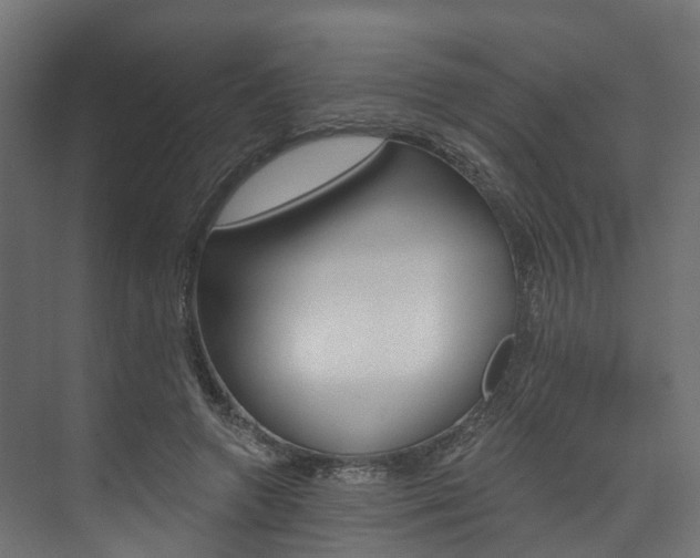 X0000074240546200608250845