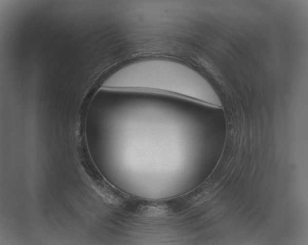 X0000074240548200608250845