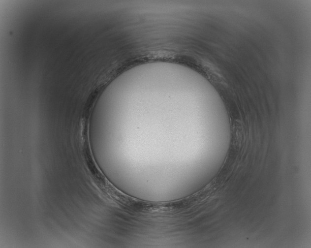 X0000074240550200608250845