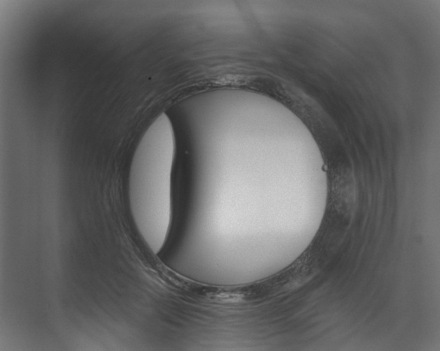 X0000074240554200608250845