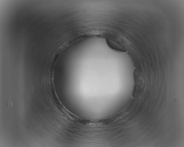 X0000074240556200608250845