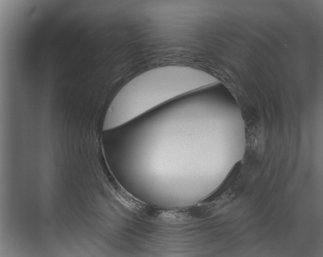 X0000074240568200608250845