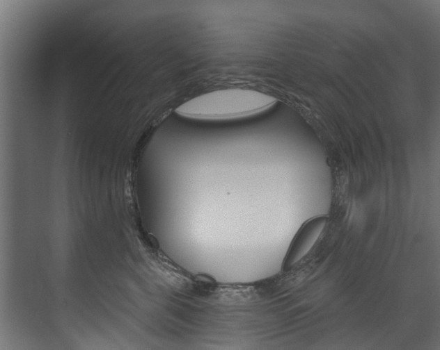 X0000074240571200608250845