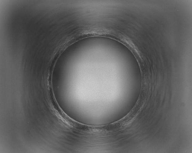 X0000074240585200608250844