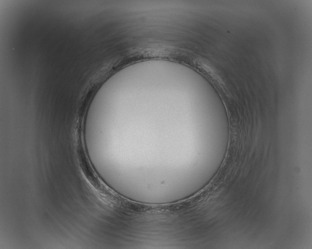X0000074240586200608250844