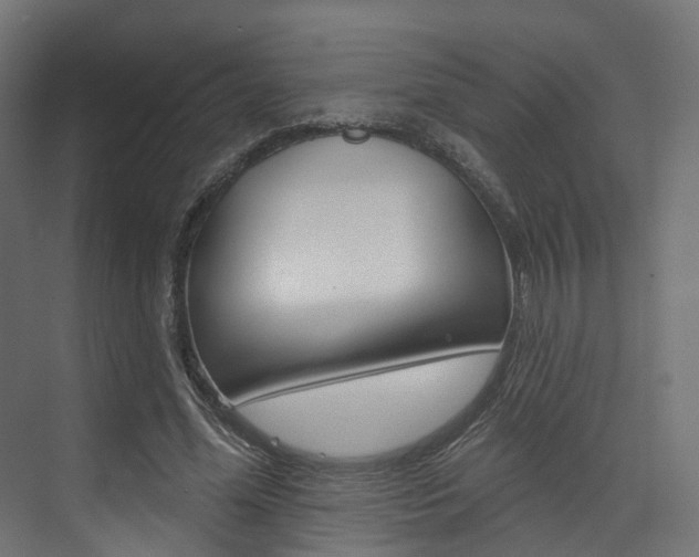 X0000074240588200608250844