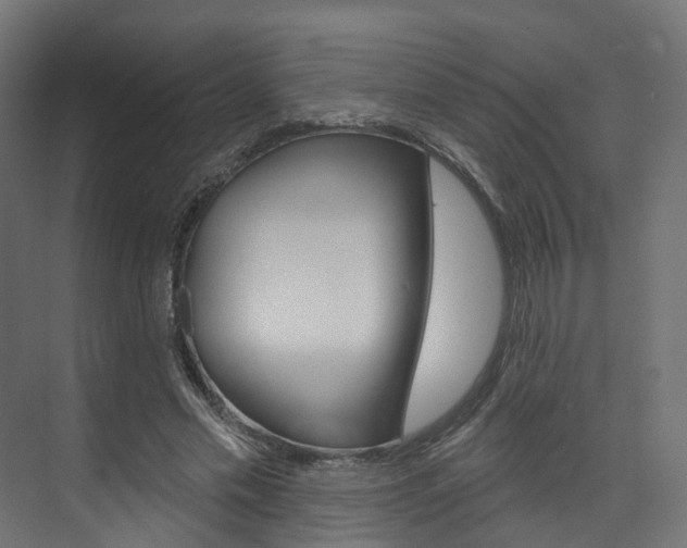 X0000074240589200608250844